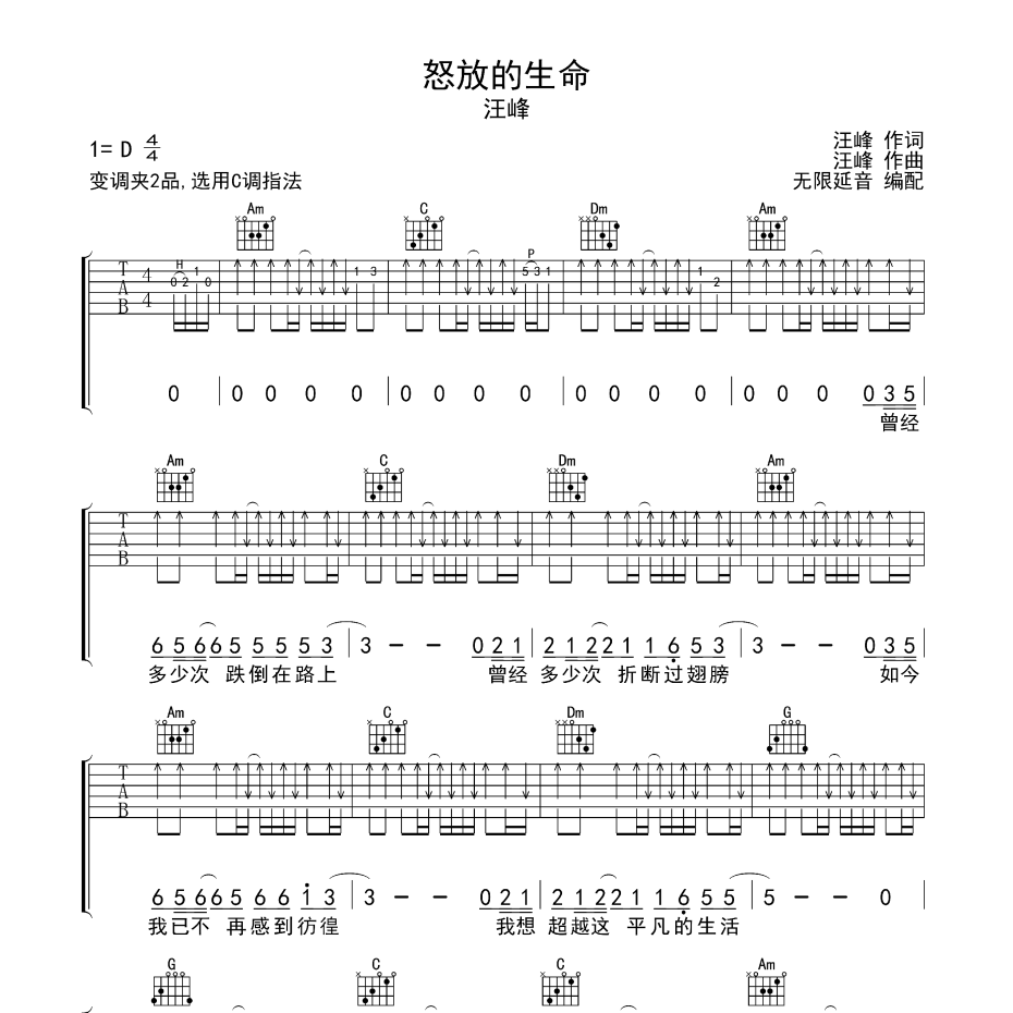 怒放的生命吉他谱