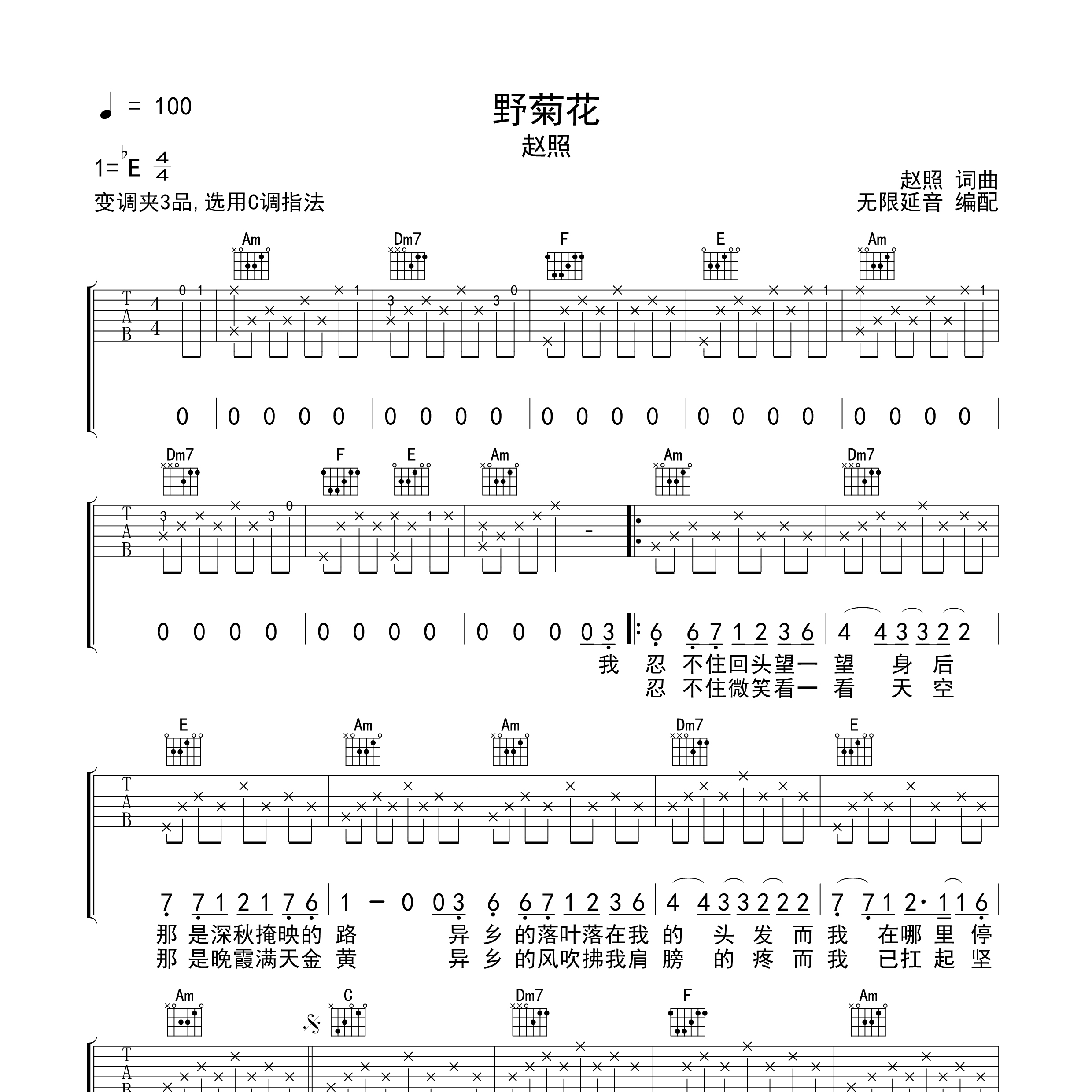 野菊花吉他谱